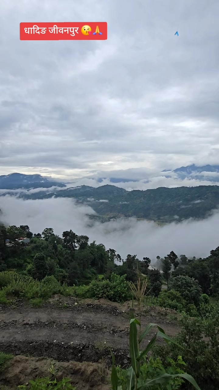 @dipesh Bayalkoti