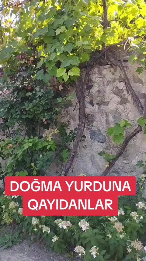 @🇦🇿24inform.az🇦🇿