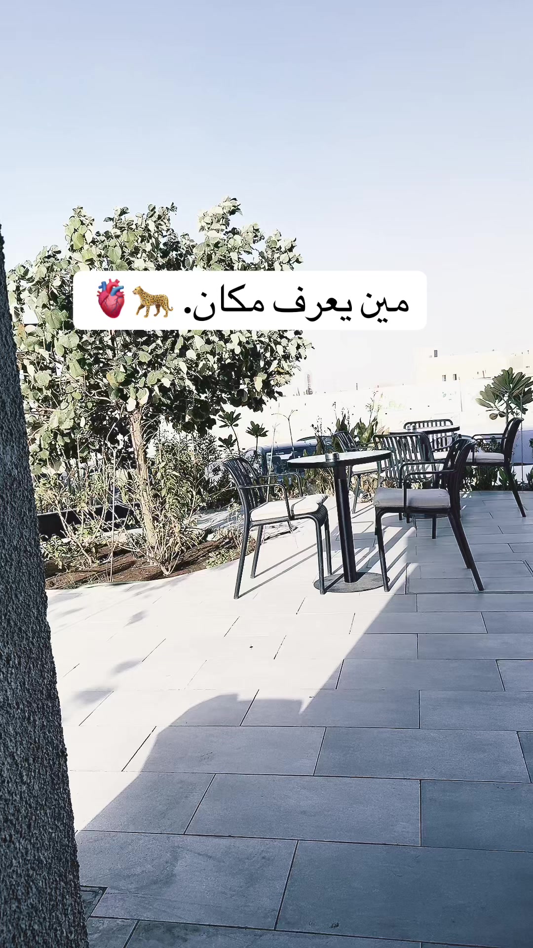 @ساره 🐆💅🏻❤️🩹
