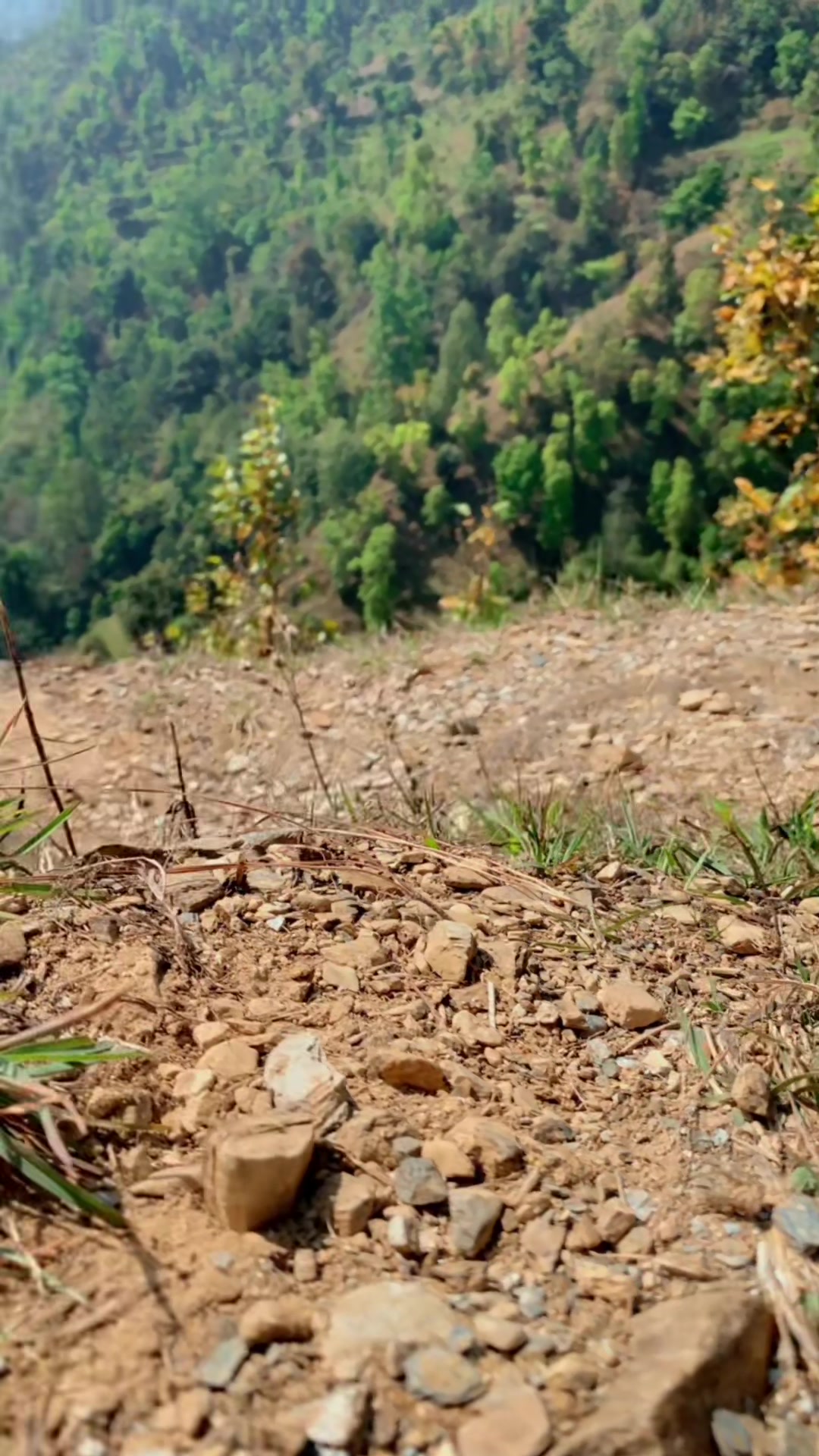 @d.s.thakuri