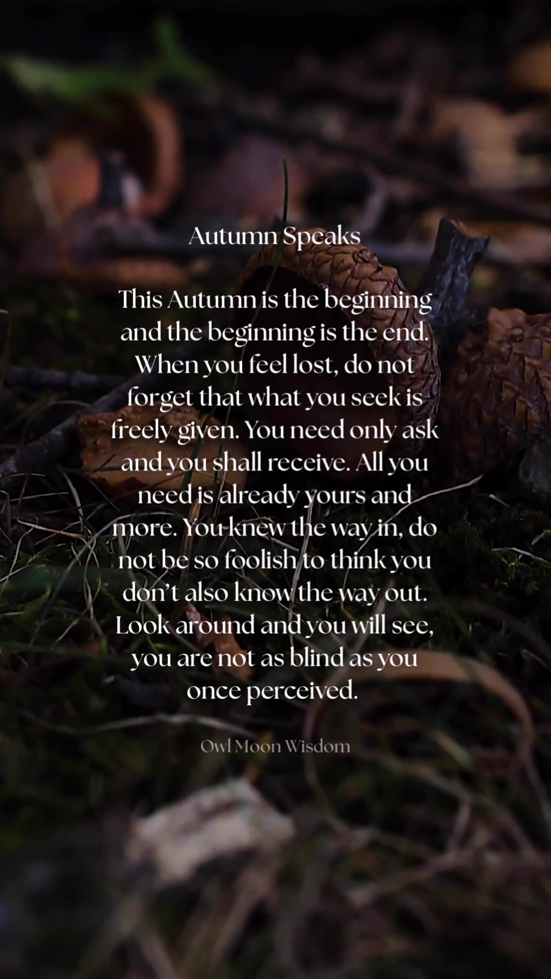 @owlmoonwisdom