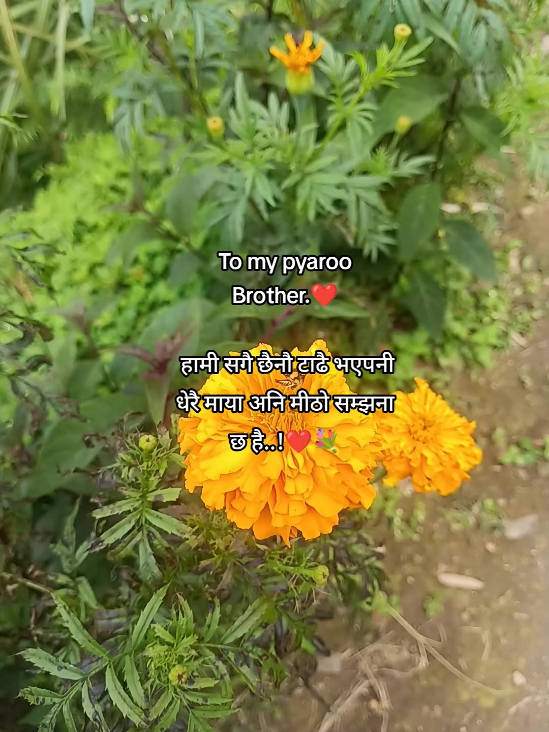@Binam Chhetri ❤️🩹