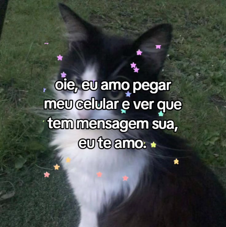 @Lari