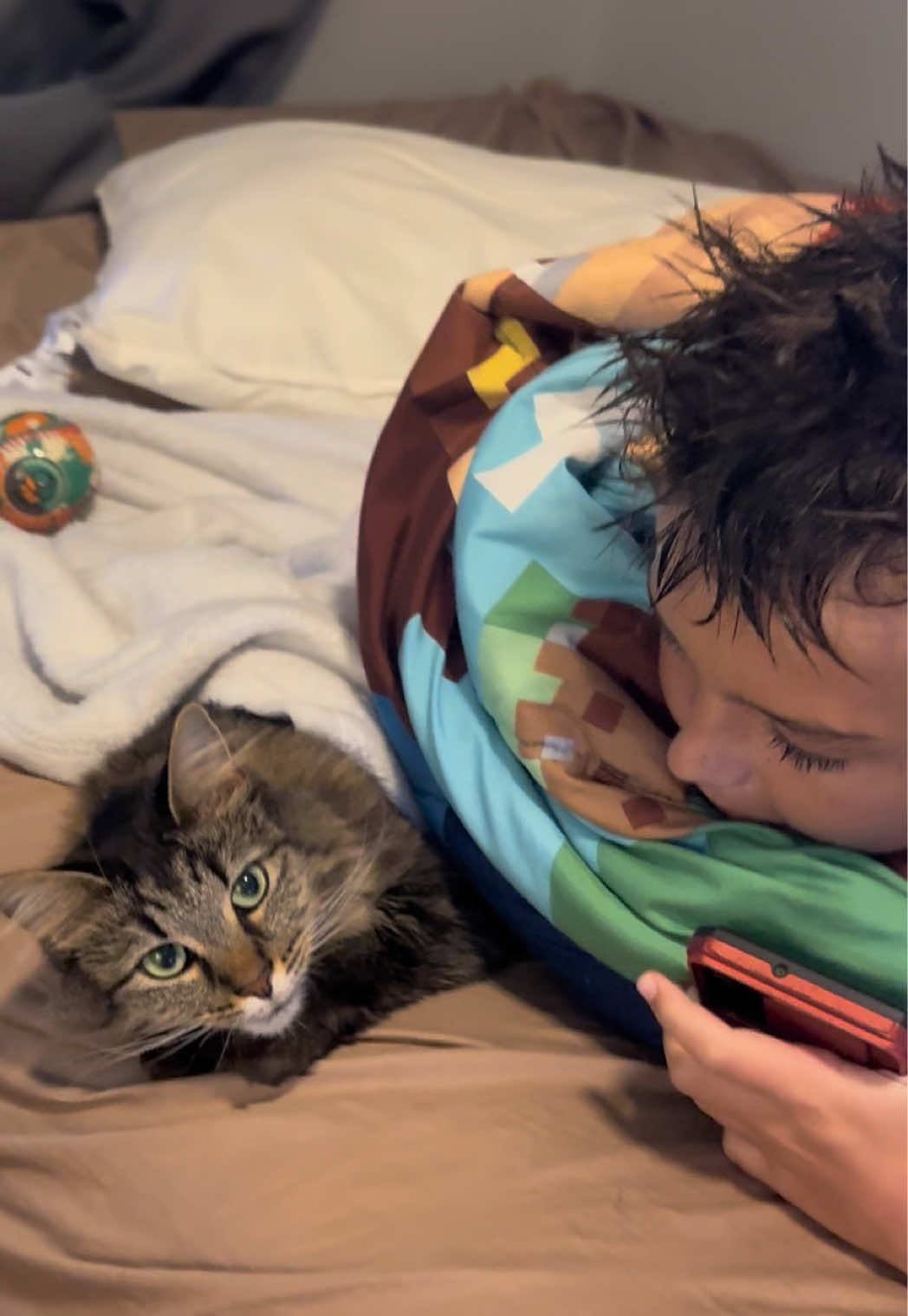 @RoxySnowballCatDrama