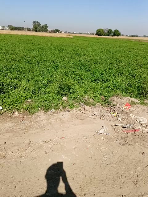 @Altaf rana