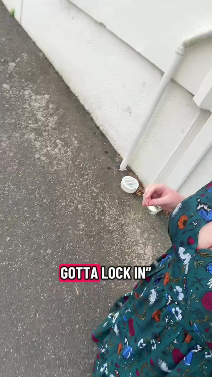 @RavynBell