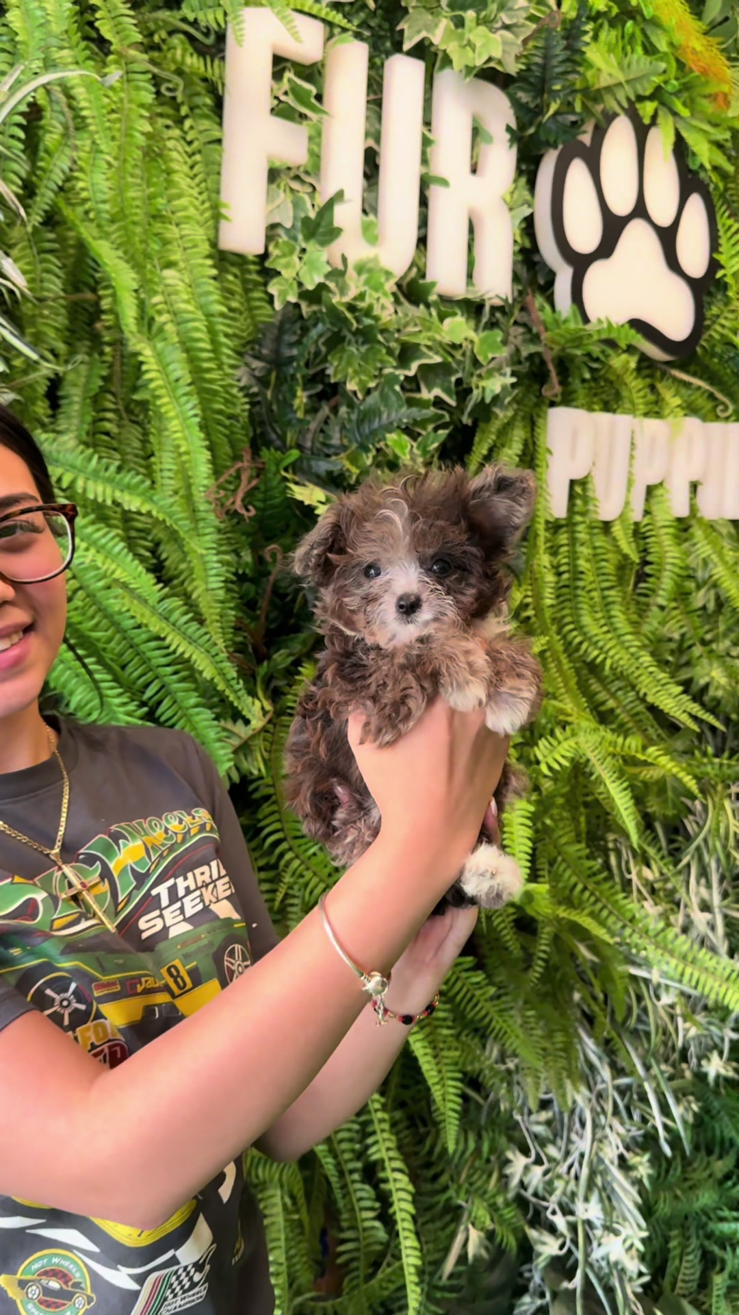 @FurbabyPuppies
