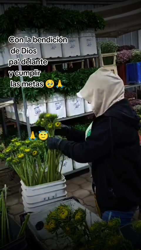 @A   &deg;_&deg; 🕷️