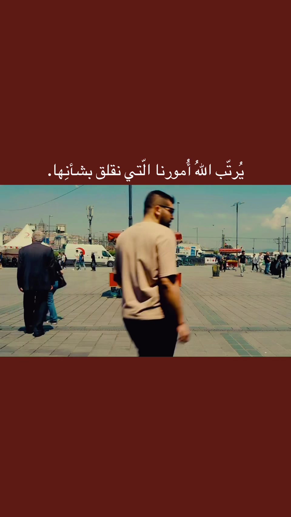 @المجتهد