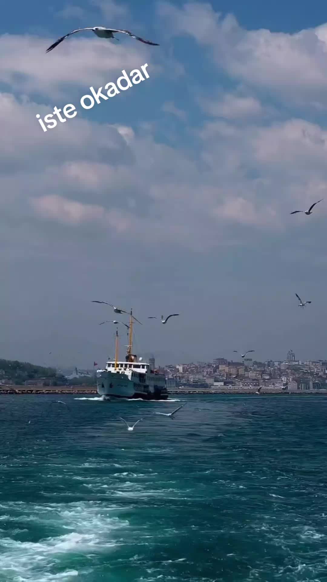 @Sevda çiçeği
