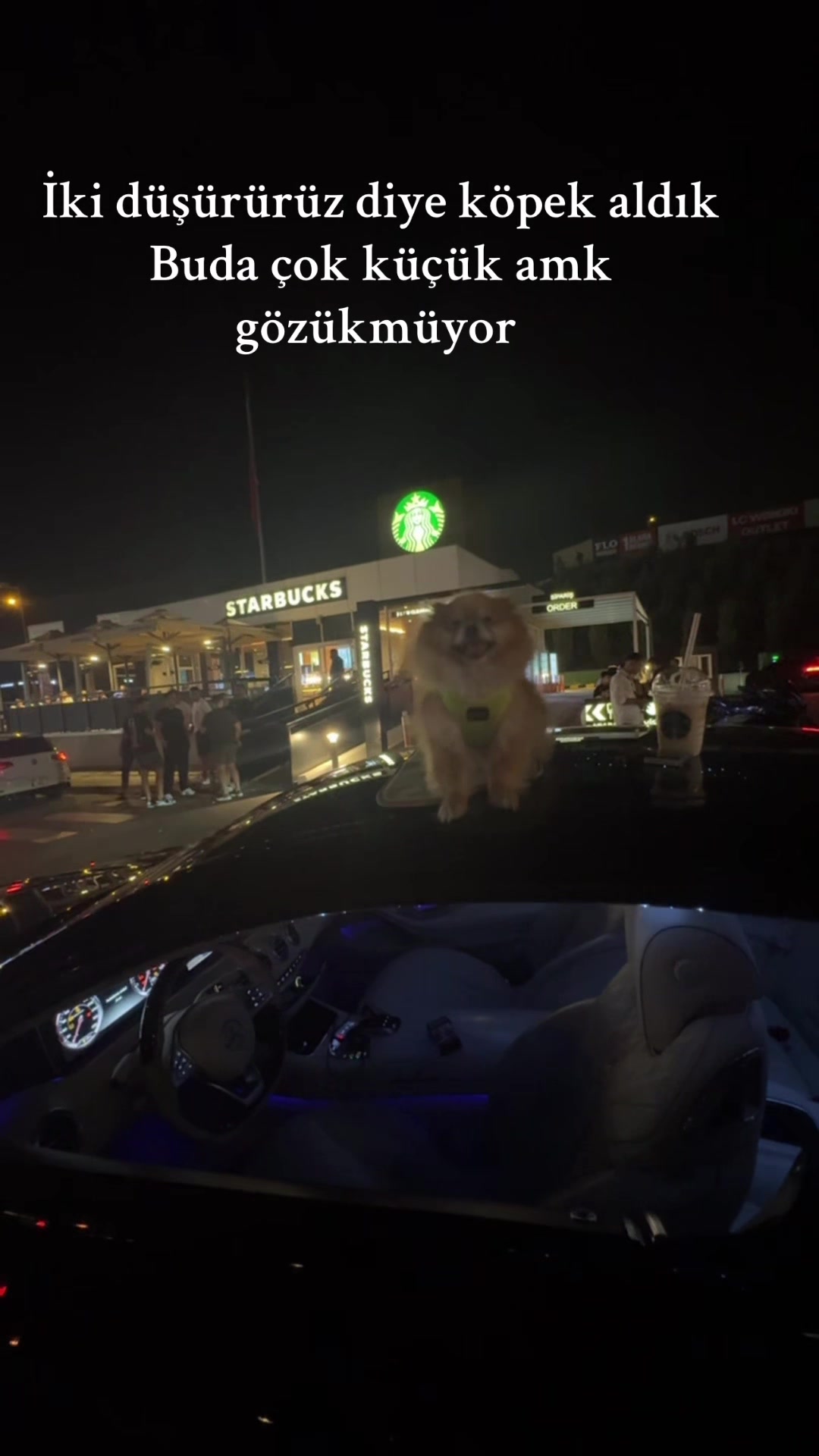 @Alibayroo