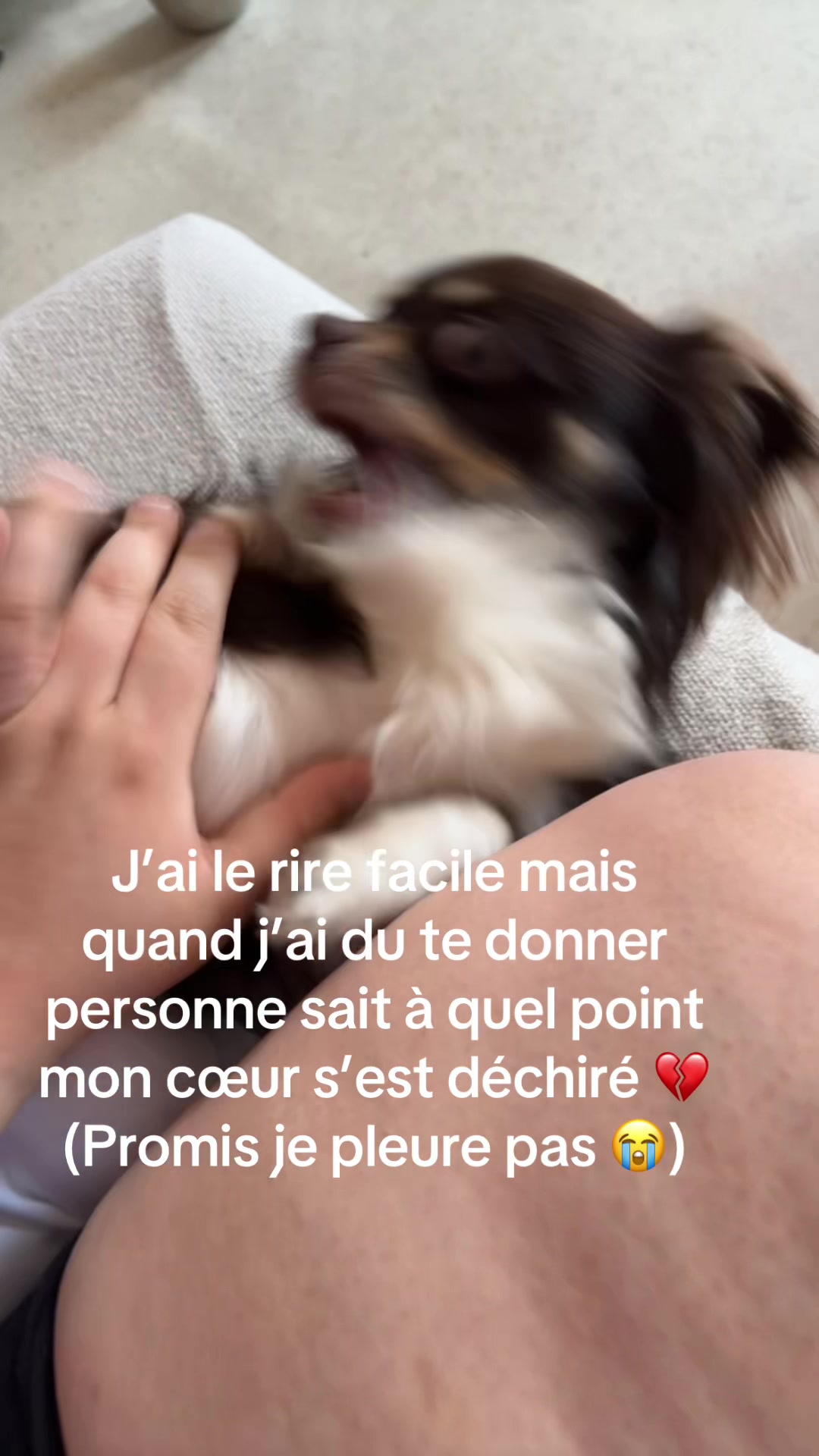 @Curvy 🩷🏳️&zwj;🌈