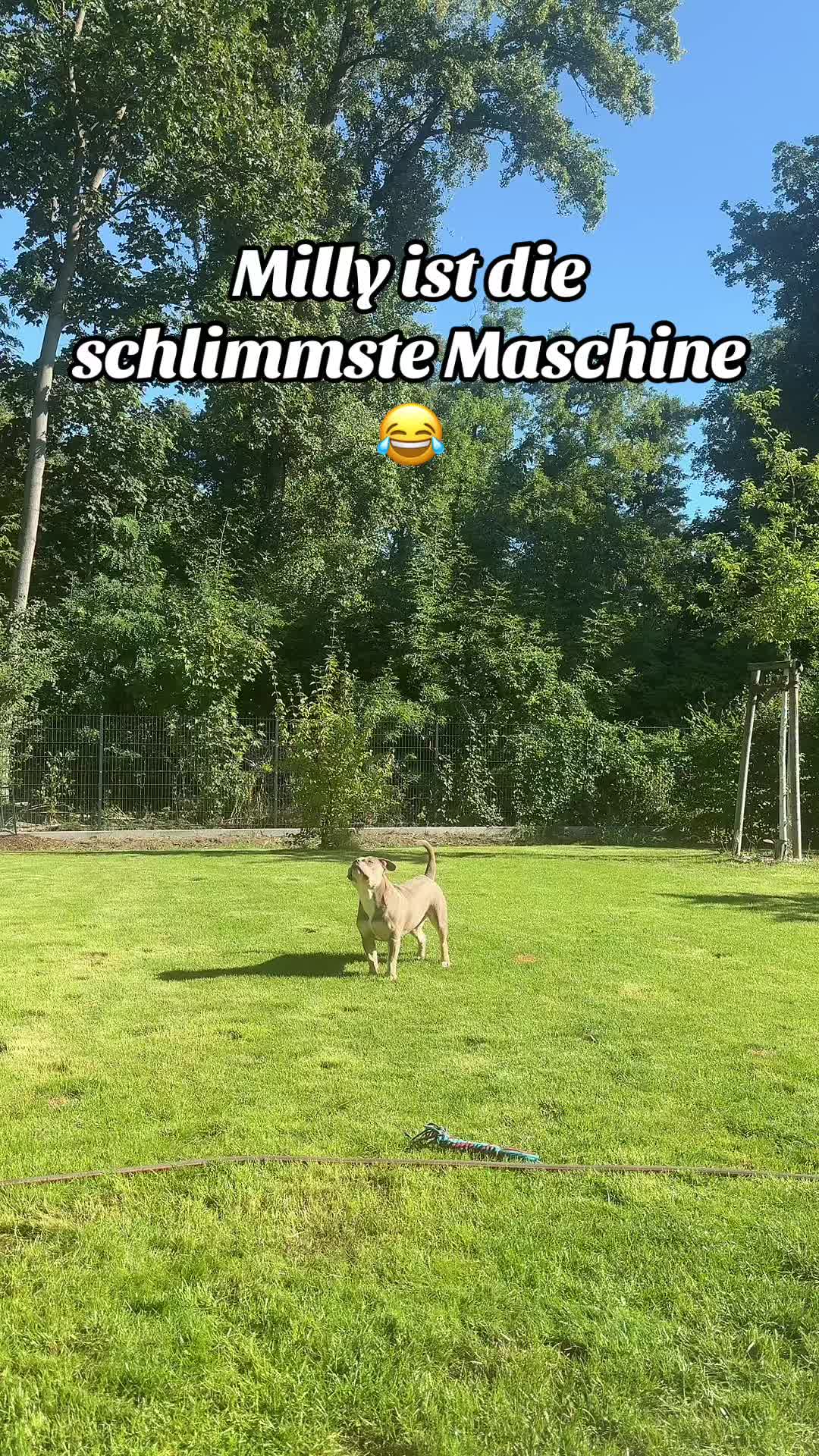 @Milly 🐶🥰
