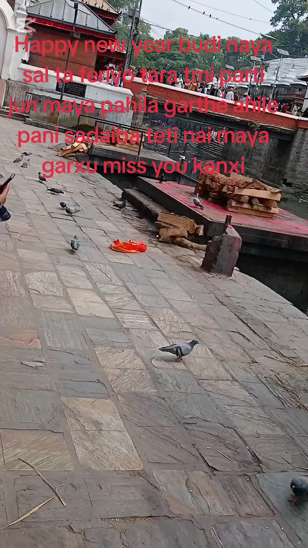 @sujanmagar8975