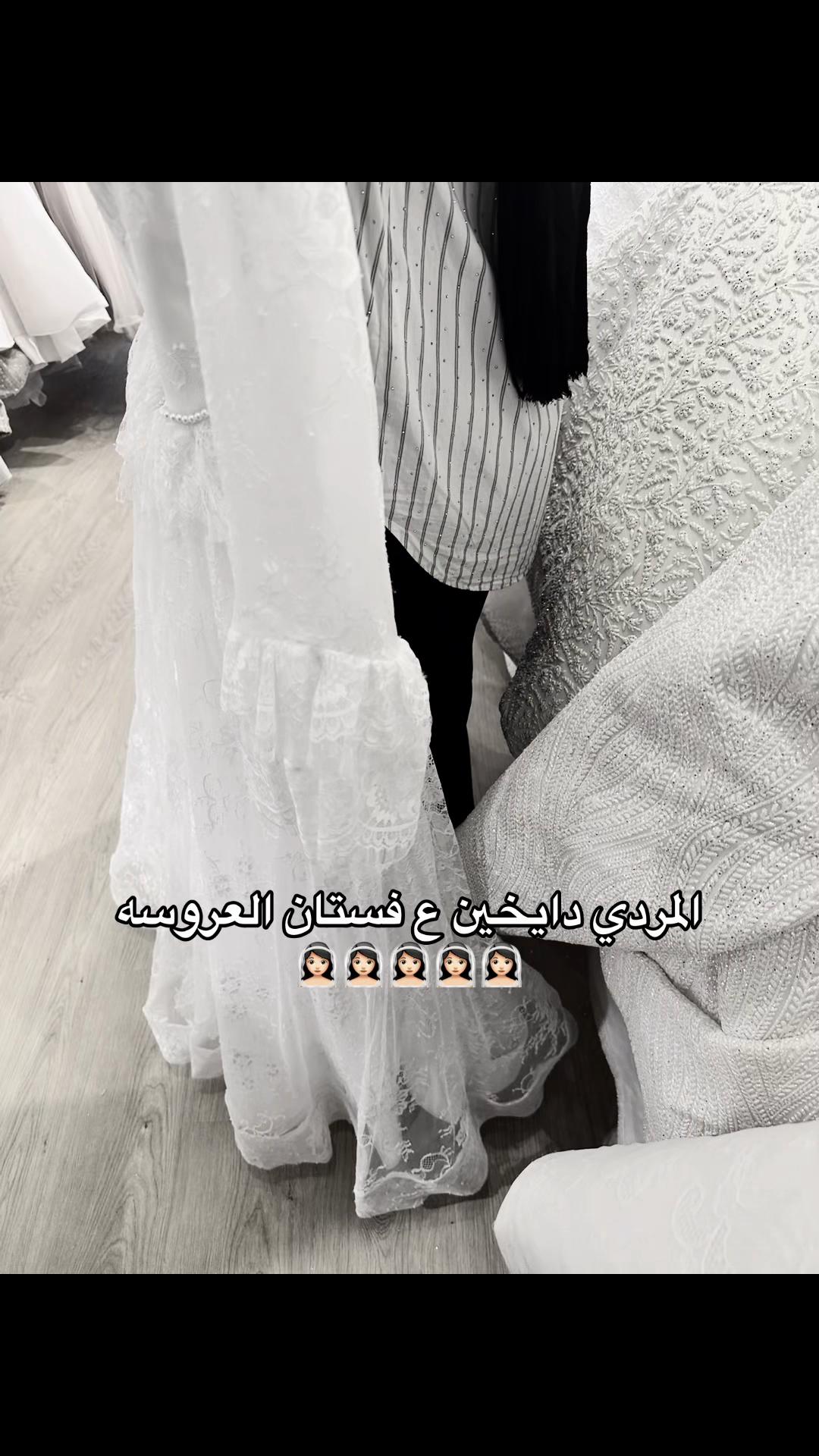 @๐ฆ๐ã๐ทØ๐ท๐ช๐ฆ