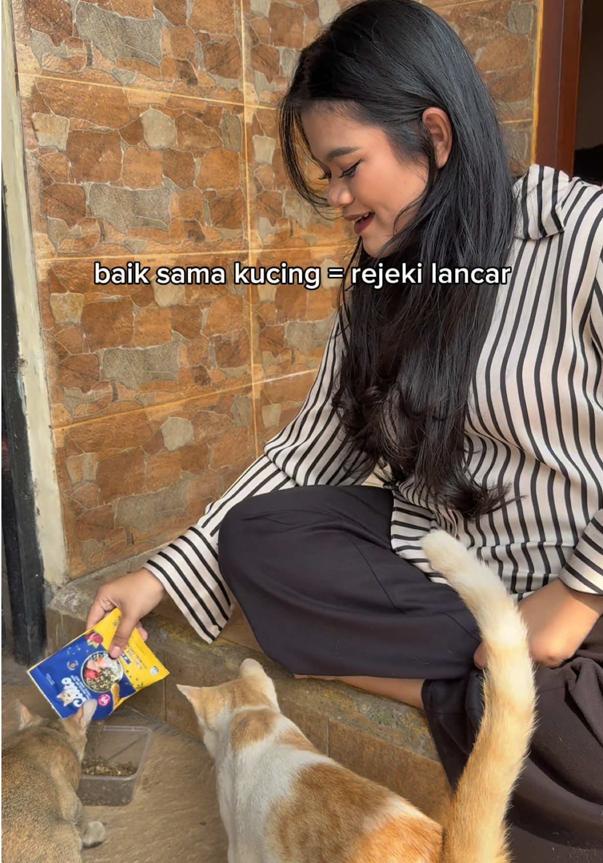 @dinsha