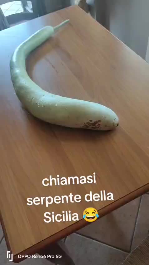 @franco senato