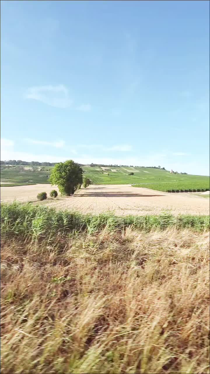 @Minir Sadiku Firajës