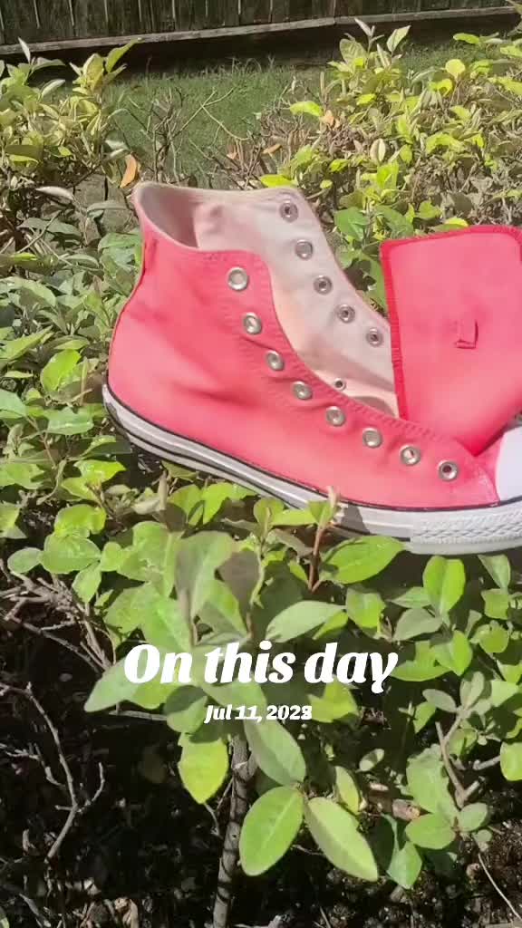 @eiggyday