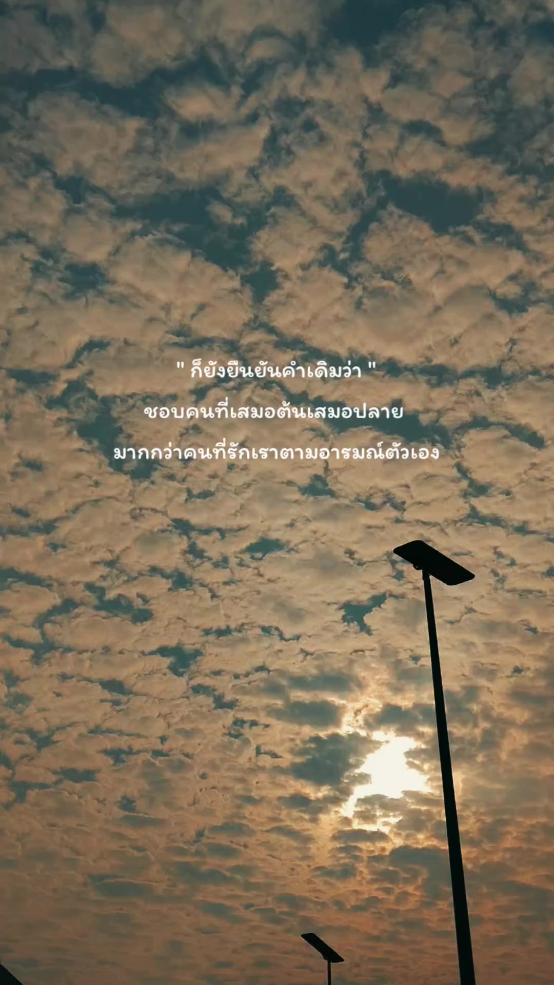 @pipat🌻🤍51.7K