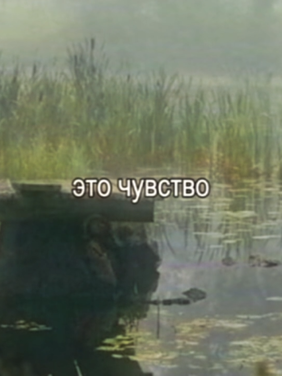 @лизок⁵⁰⁵
