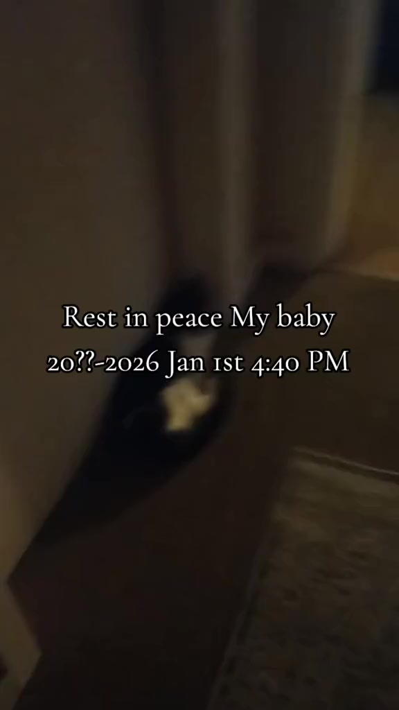 @Eli