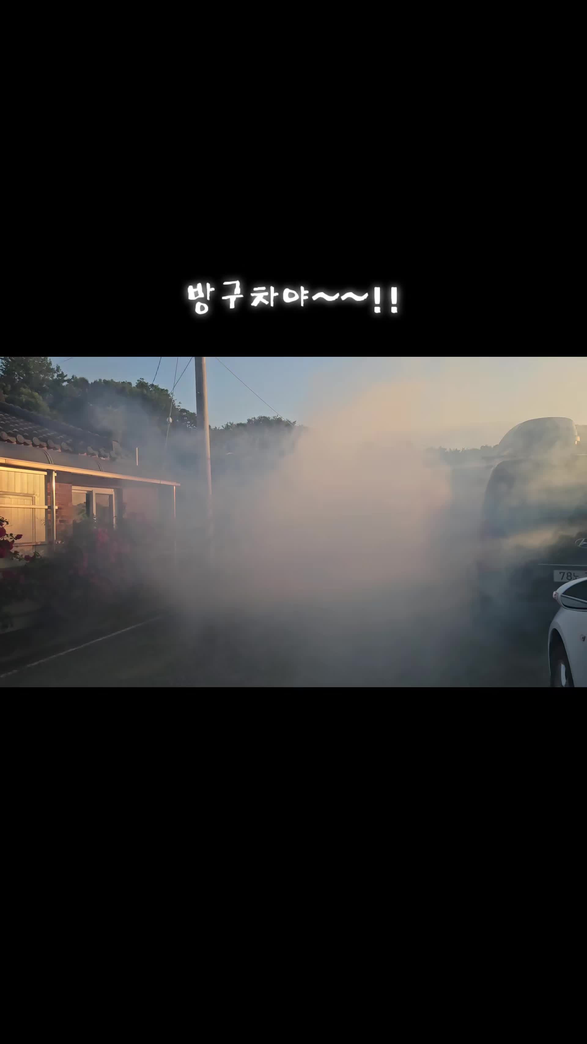 @만두탱이