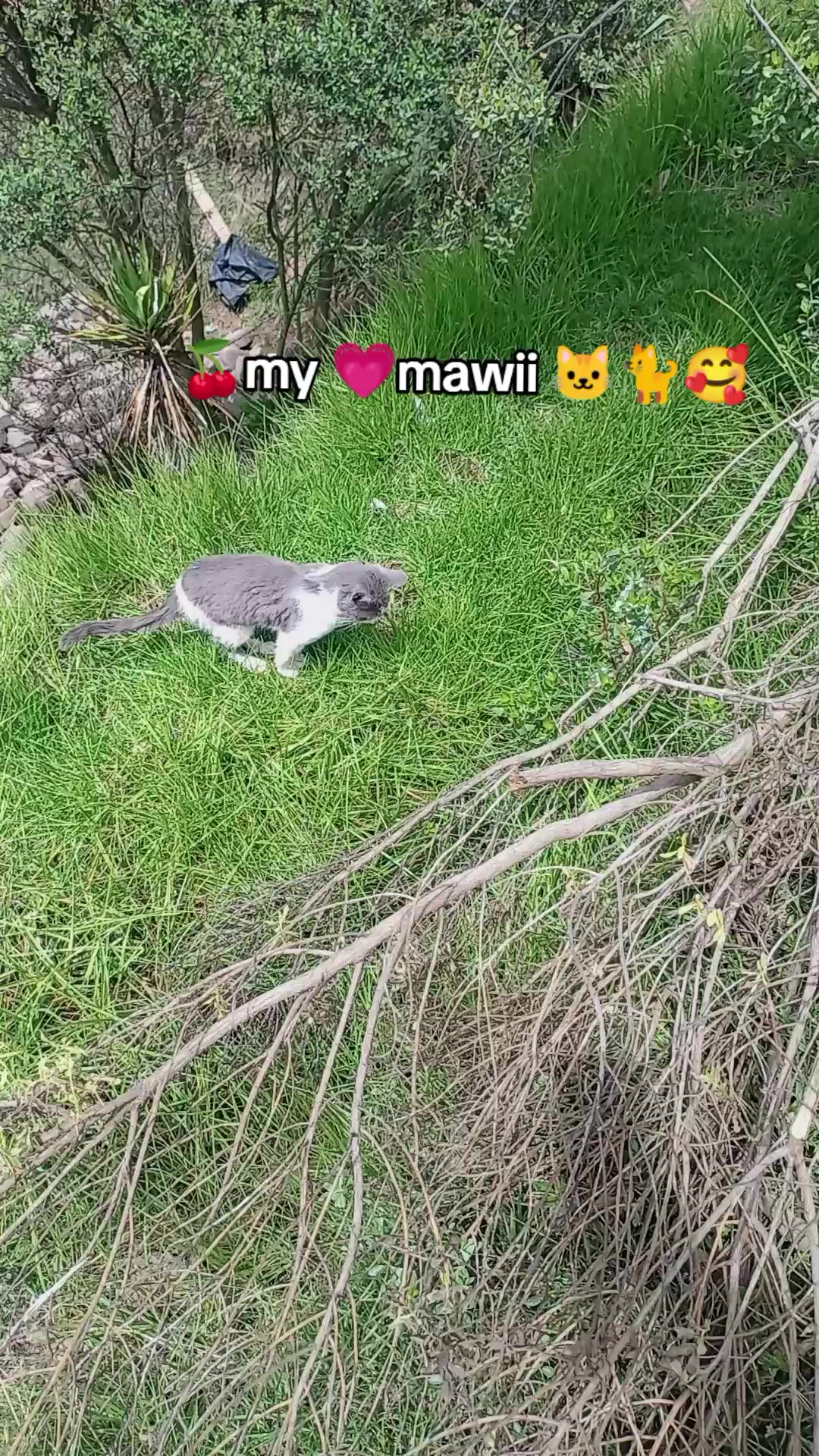 @marisheyl
