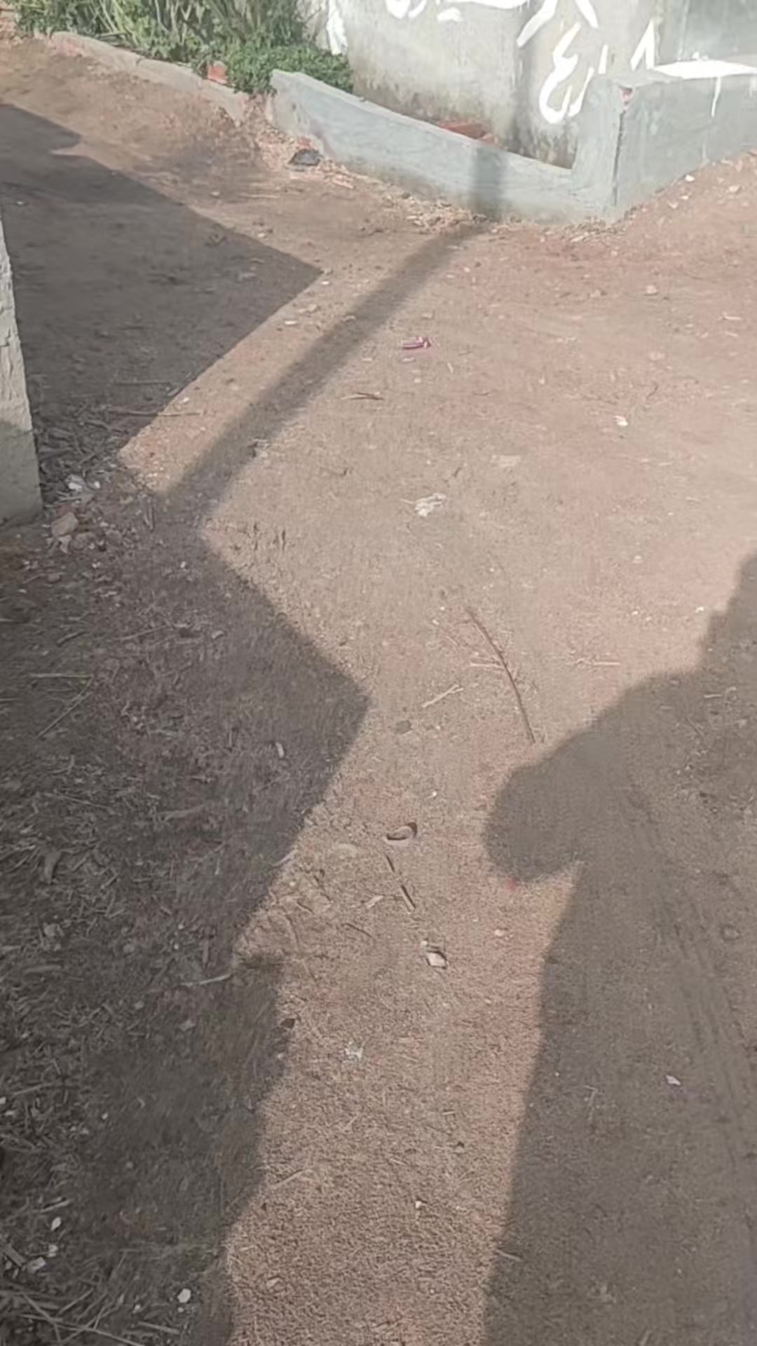 @رائد افندينا
