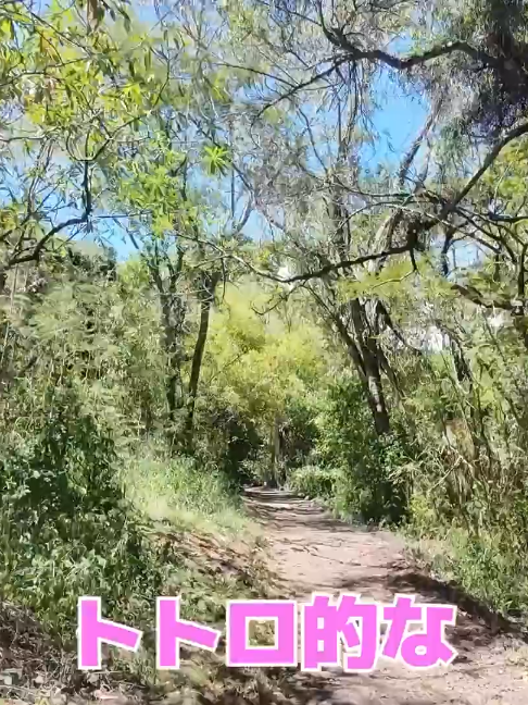 @user173695814679