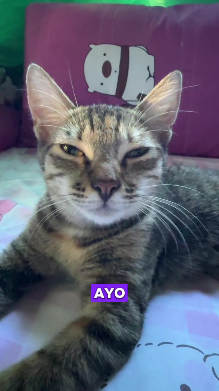 @️ྀིྀི ྀིྀི :)