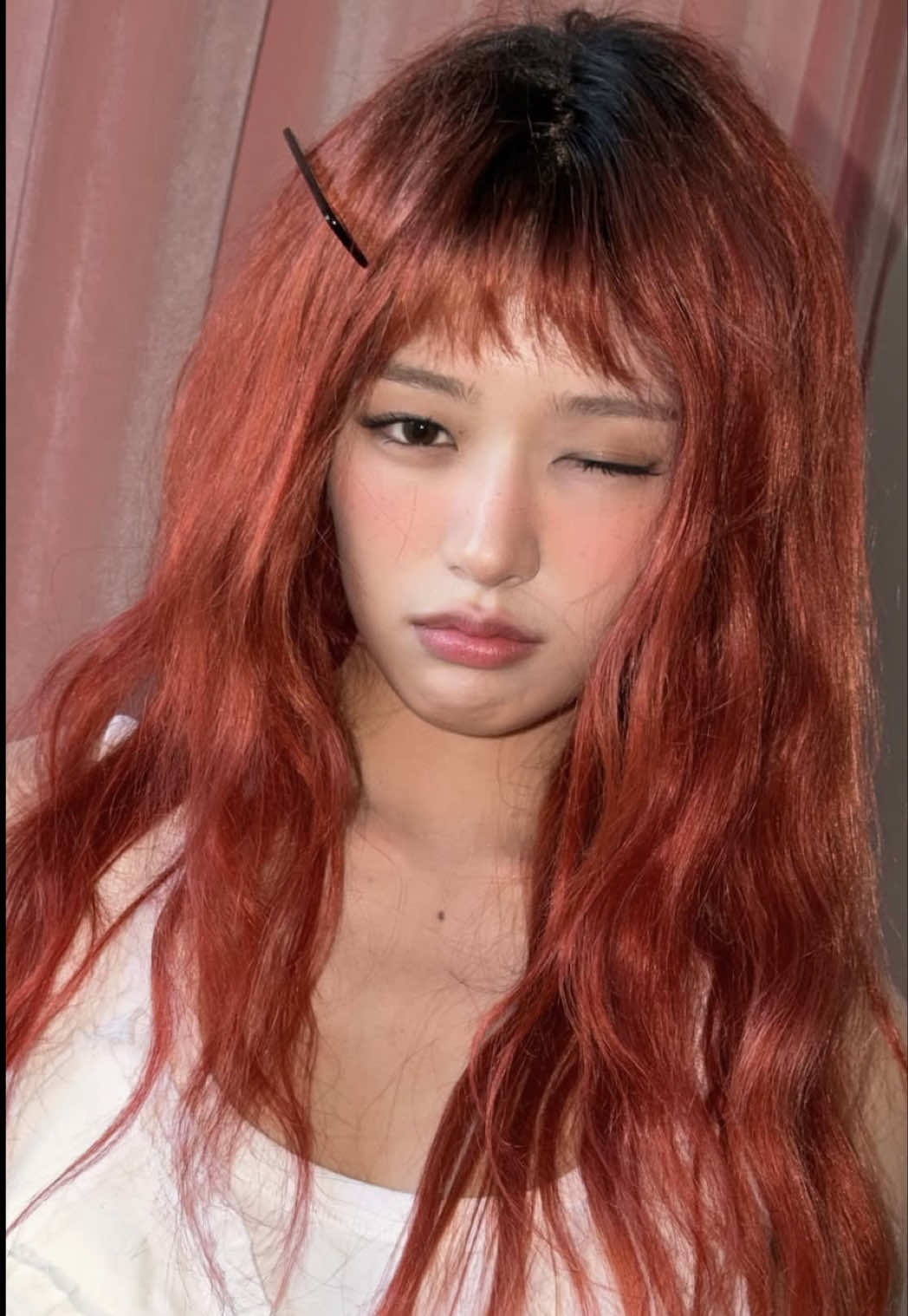 @westie0125
