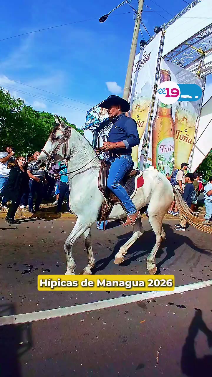 @El 19 Digital