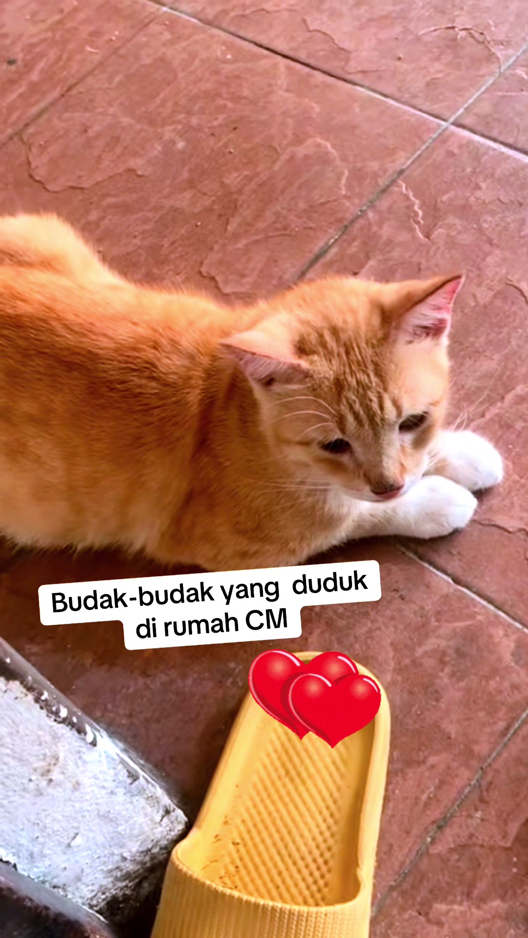 @Cik Mai Shop