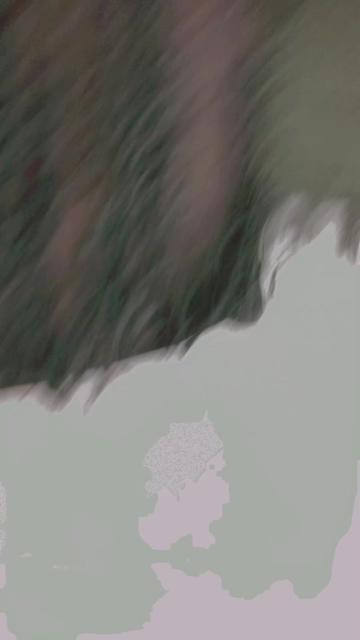 @ᡕᠵ᠊ᡃ່࡚🗣️🇰 🇦 🇲 𝐋 Σ🇸 🇭❤️