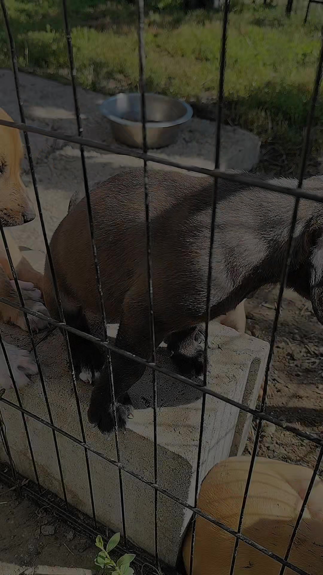 @Io e la mia karmela 🥰