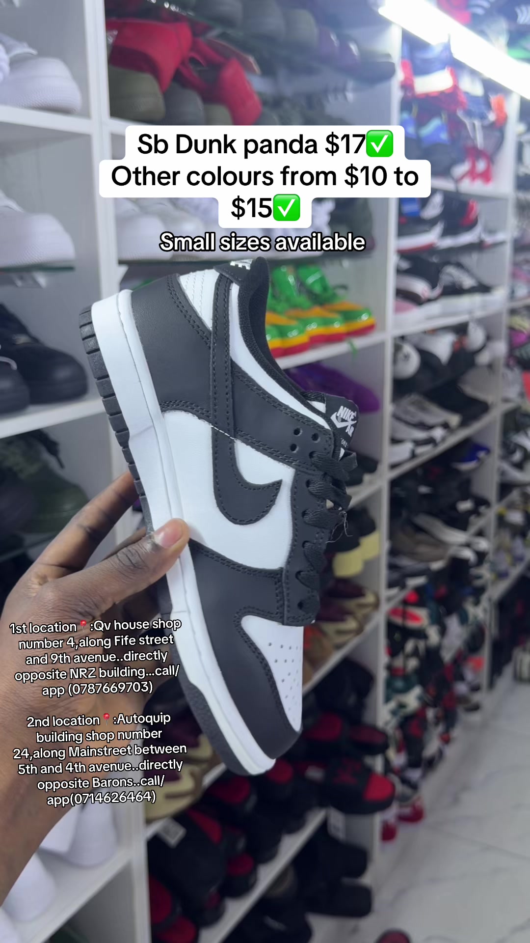 @D n A Sneakers