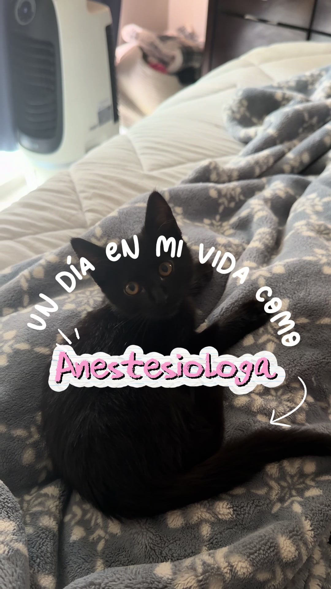 @𝑅𝑜𝓍𝓎 ✨