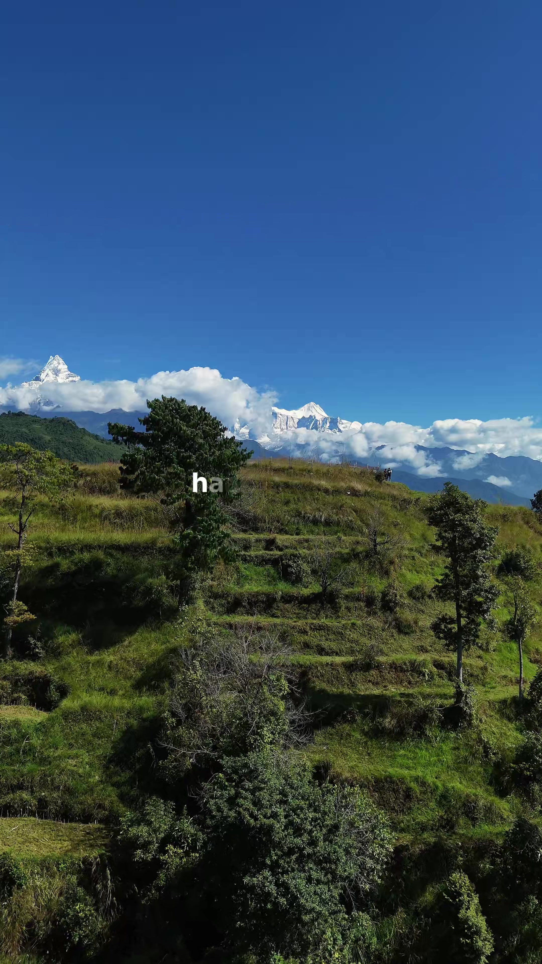 @Tipsandtripsnepal