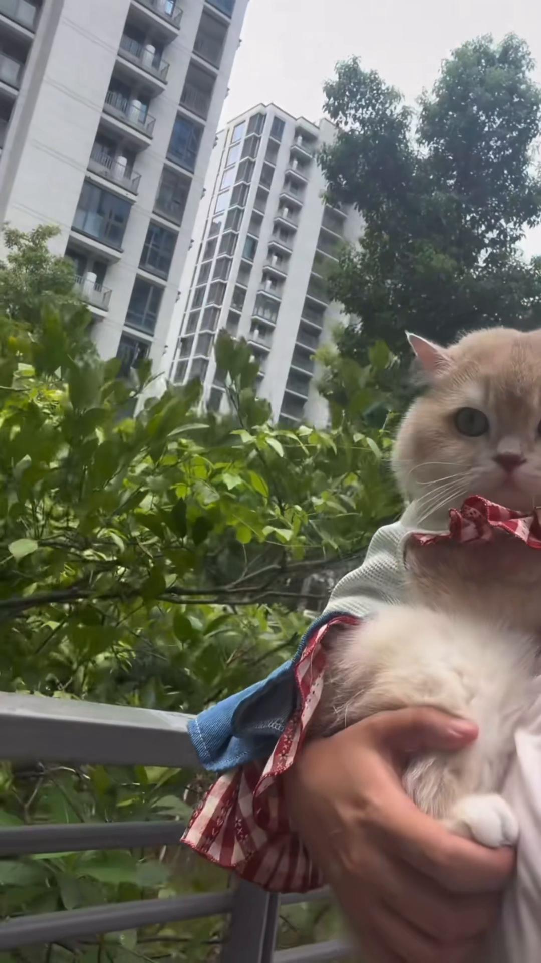 @My Daily Dose of Aww