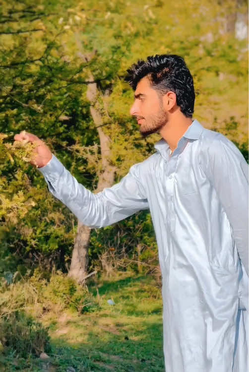 @کیانی تیمور
