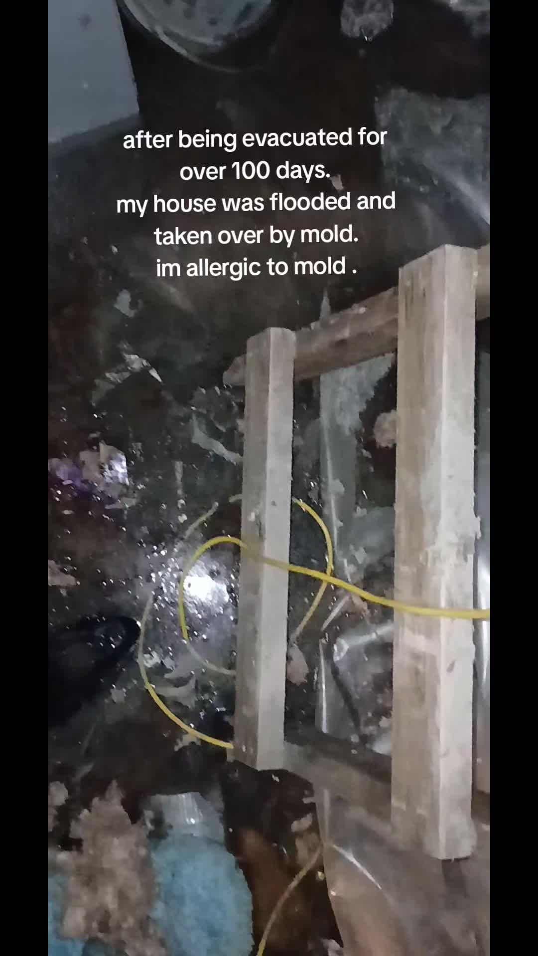 @northerngal