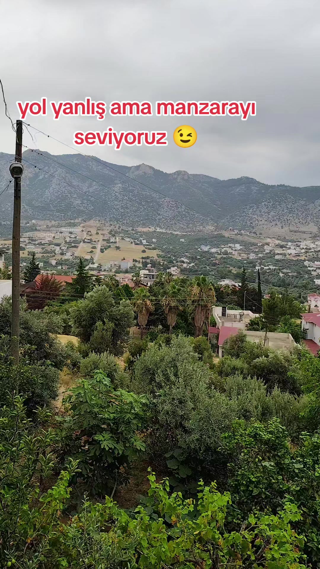 @🐞 Koz@nlı🐞