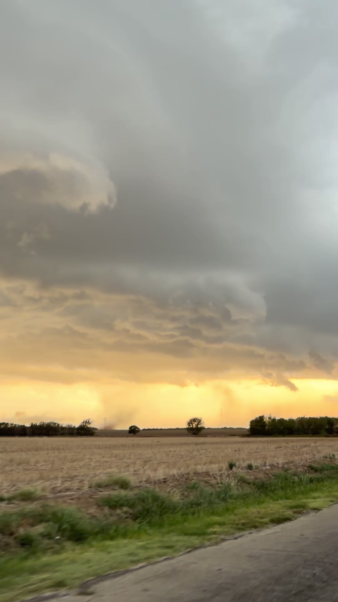 @Storm Chaser Liam Watkins