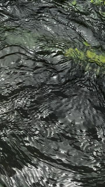 @aynur_9_9_9