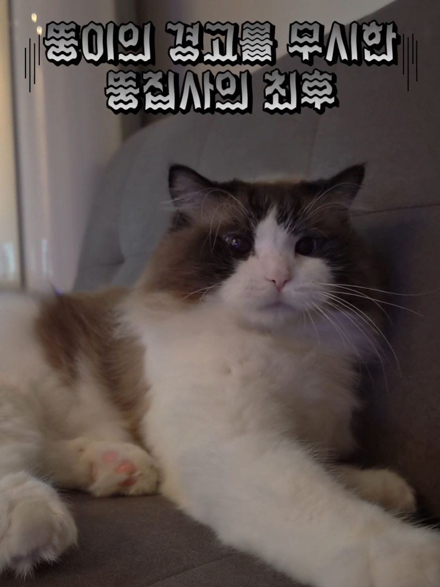 @ddoong2(๋ฑ์ด)