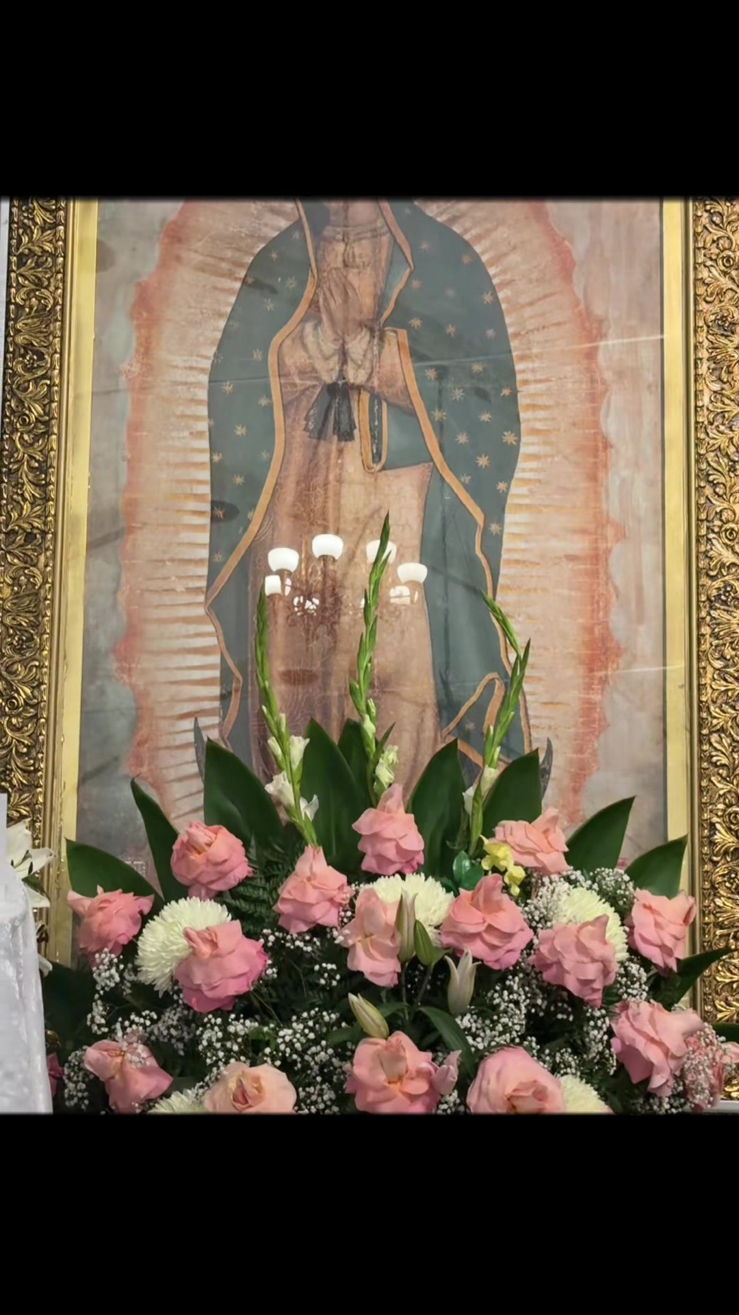 @N Hernández . 💚🦋🇲🇽🇲🇽