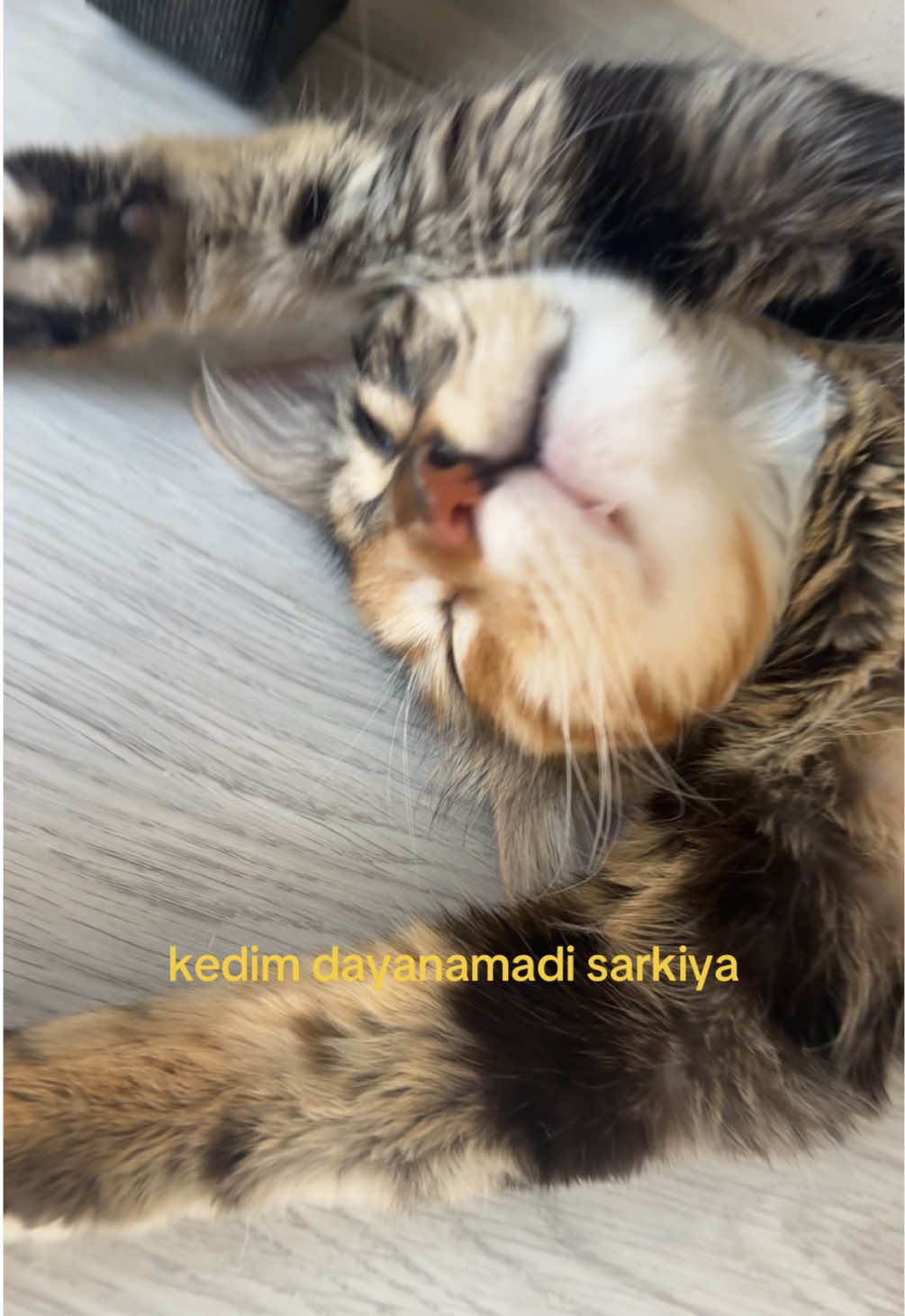 @şeyma