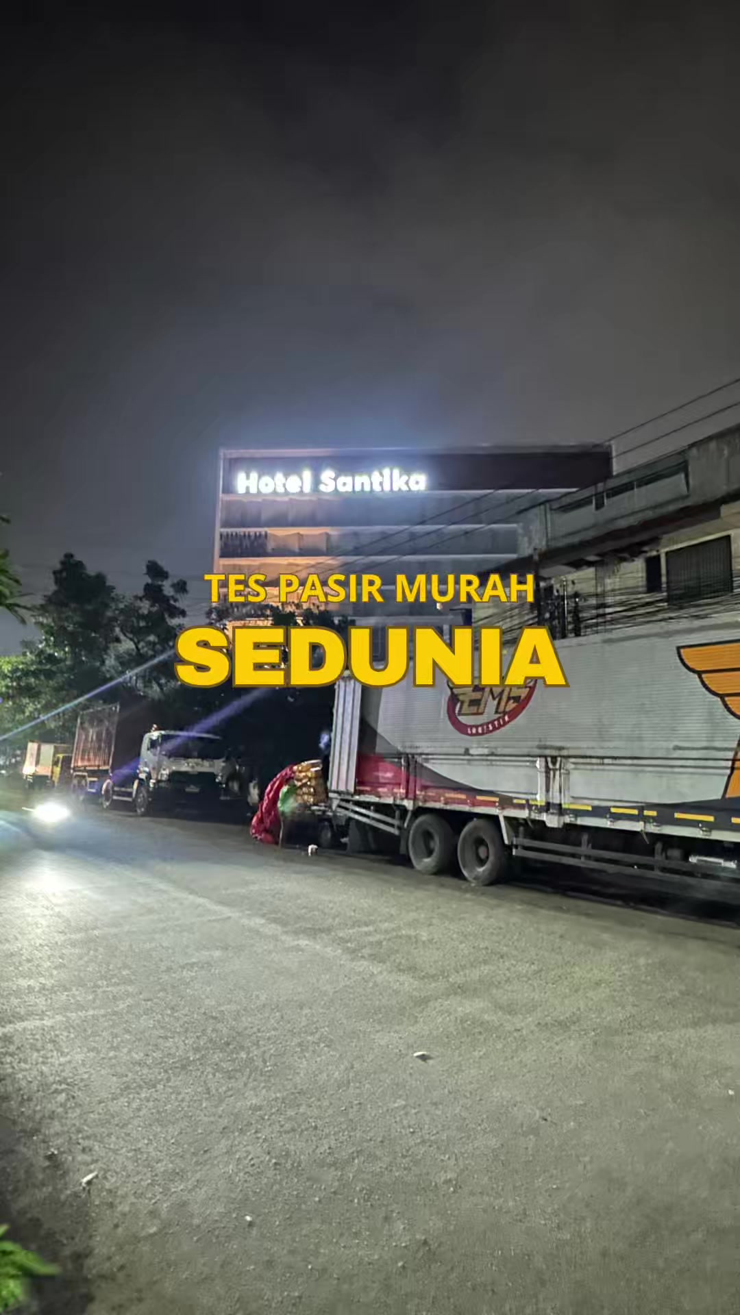 @bejo petmart