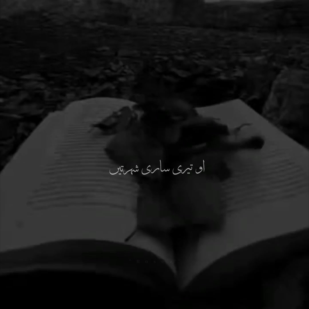 @𓂃♡ 𝓻𝓸𝓼𝓮𝔃 𝓵𝔂𝓻𝓲𝓬𝓼 🌙